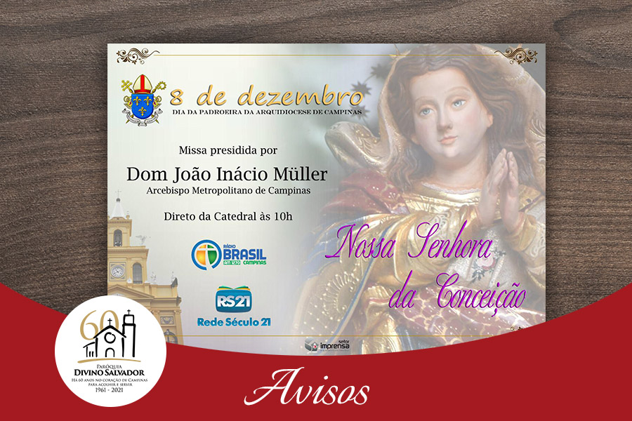 Dom João celebra Solenidade da Imaculada Conceição de Maria no próximo dia 8