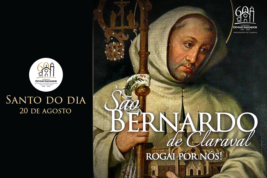 Santo do Dia | São Bernardo de Claraval